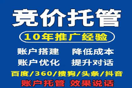 SEM优化技巧：实战案例深度剖析